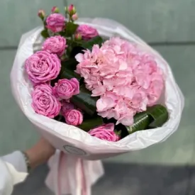 Прайст от 3000