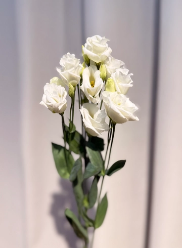 Эустома белая от интернет-магазина цветов в 