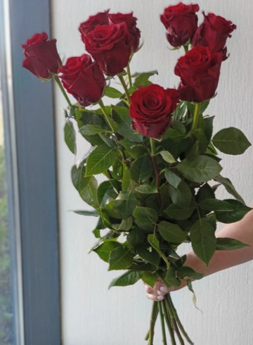 Роза Explorer 7шт от интернет-магазина цветов в 